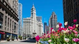 Diretório de hotéis: Chicago