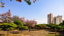 Diretório de hotéis: Londrina