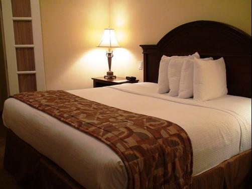 Best Western Plus Monica Royale Inn & Suites - Greenville - Cama