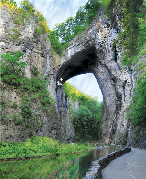 Natural Bridge Hotel and Conference Center - Natural Bridge - Atrações
