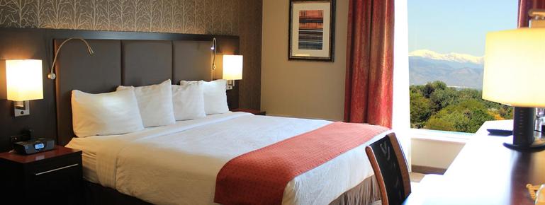 Holiday Inn Denver-Cherry Creek - Denver - Quarto