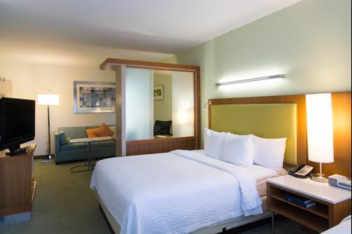 SpringHill Suites by Marriott Columbia Downtown The Vista - Columbia - Quarto superior