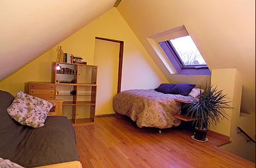 Ray's Bucktown Bed and Breakfast - Chicago - Quarto