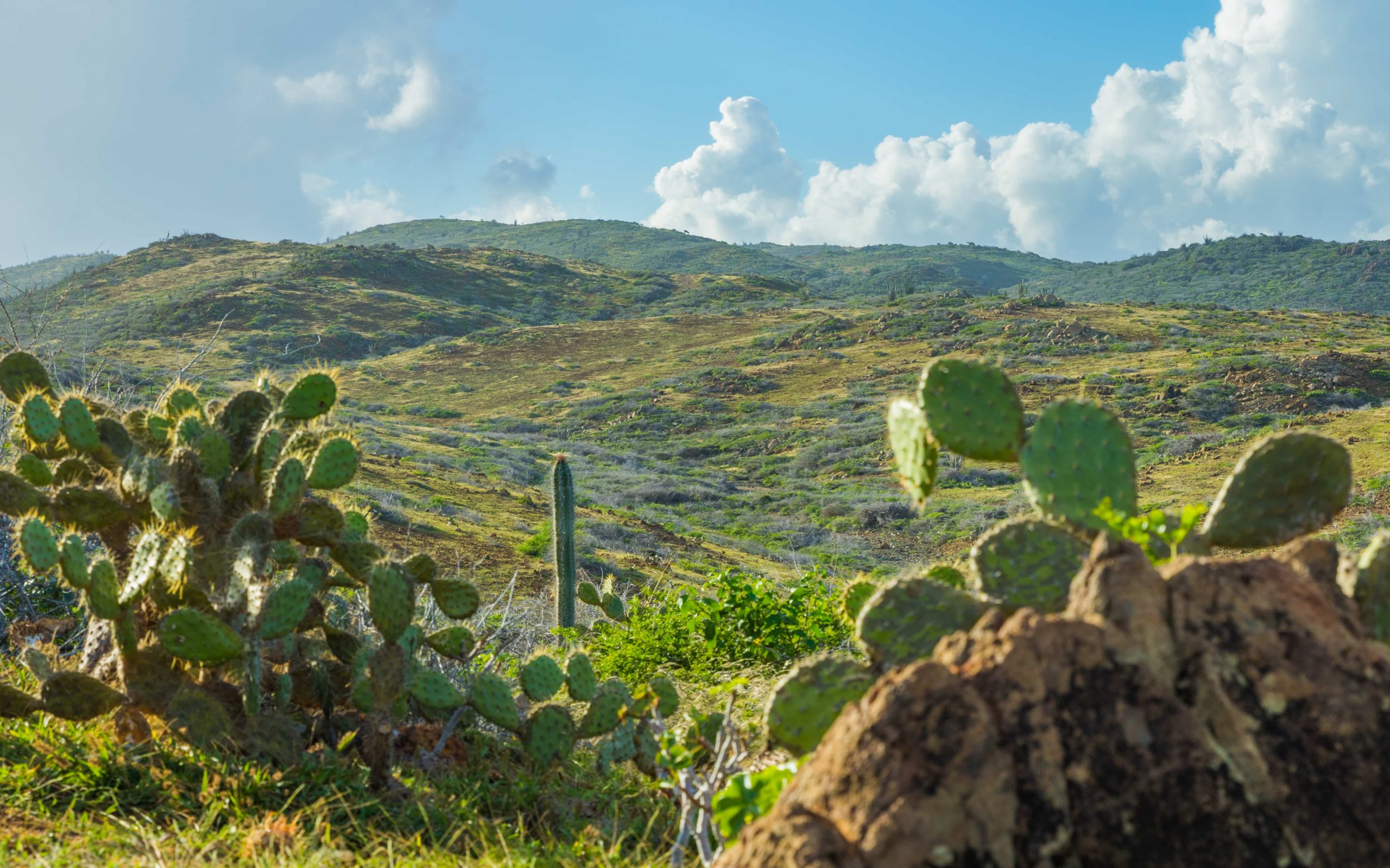 Arikok National Park - Aruba