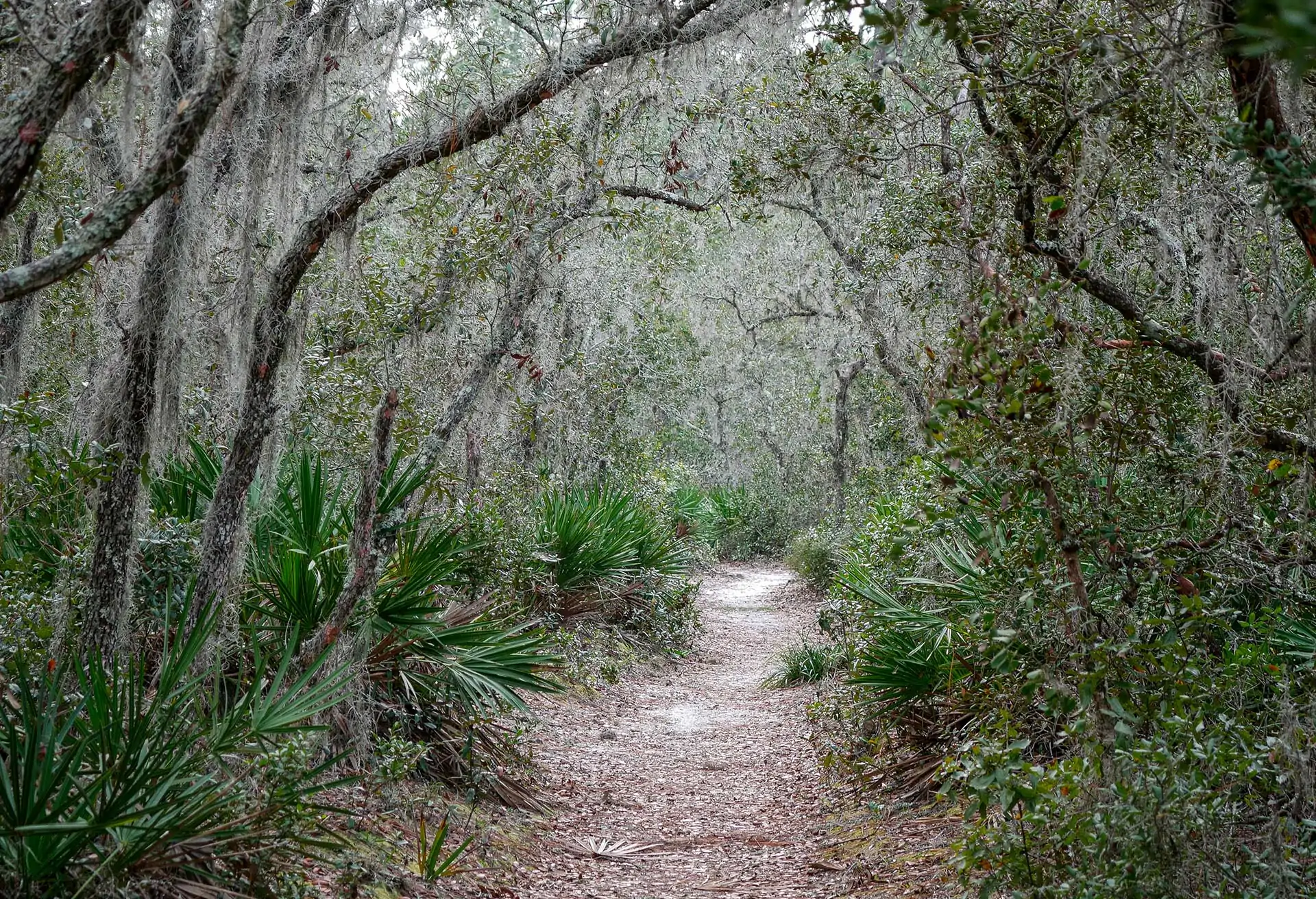 orlando_tibet-butler-nature-preserve