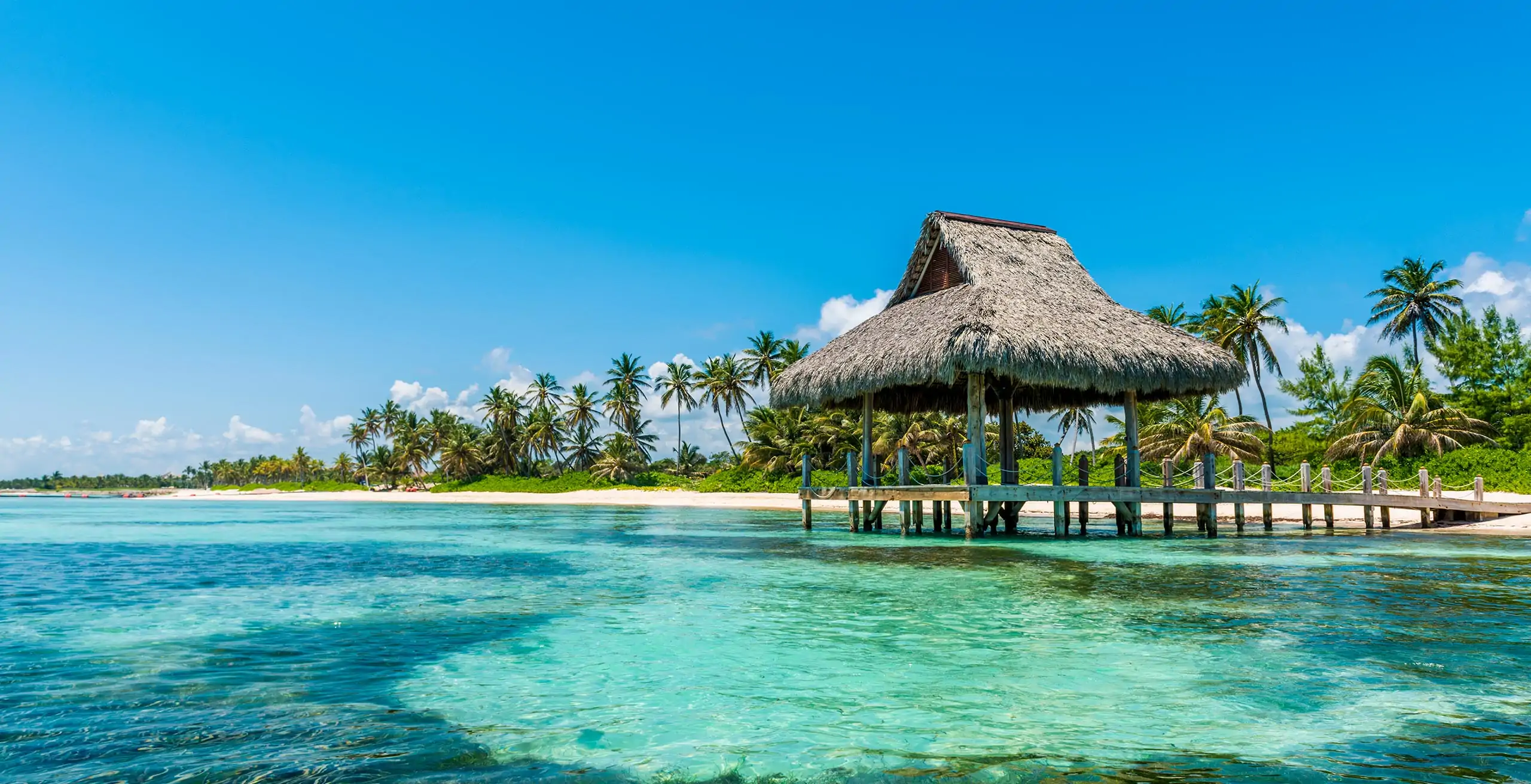 header-2