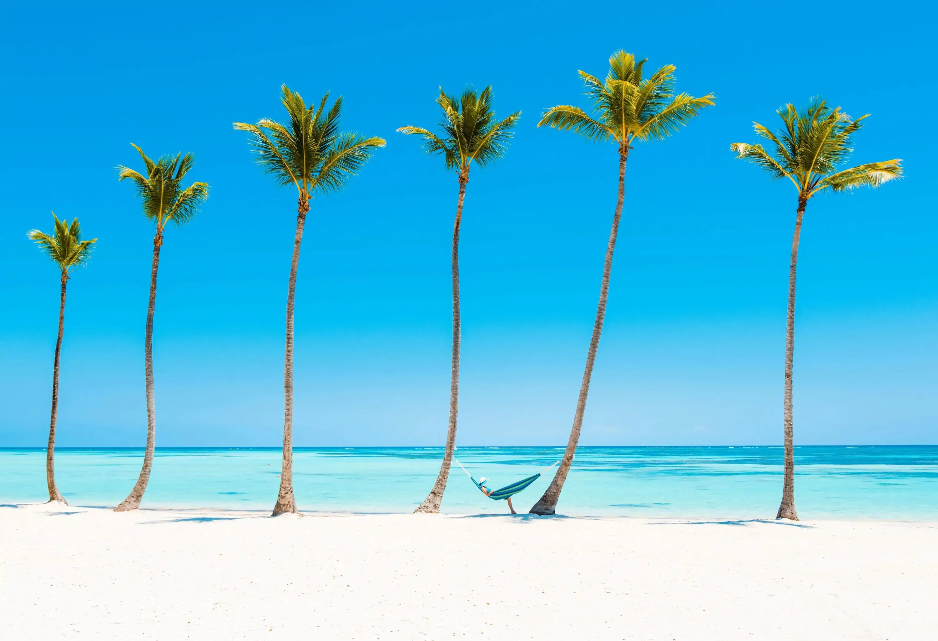 A person rests on a hammock tied on palm trees in a beach.