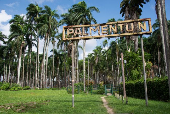 Destinos baratos na América do Sul - Paramaribo, Suriname