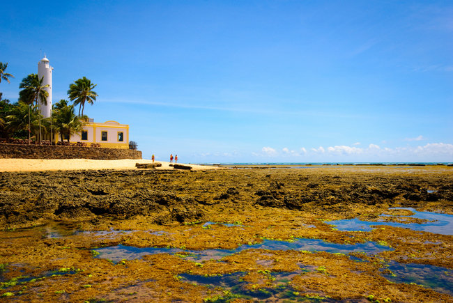 Melhores praias do Brasil - Praia do Forte, Bahia