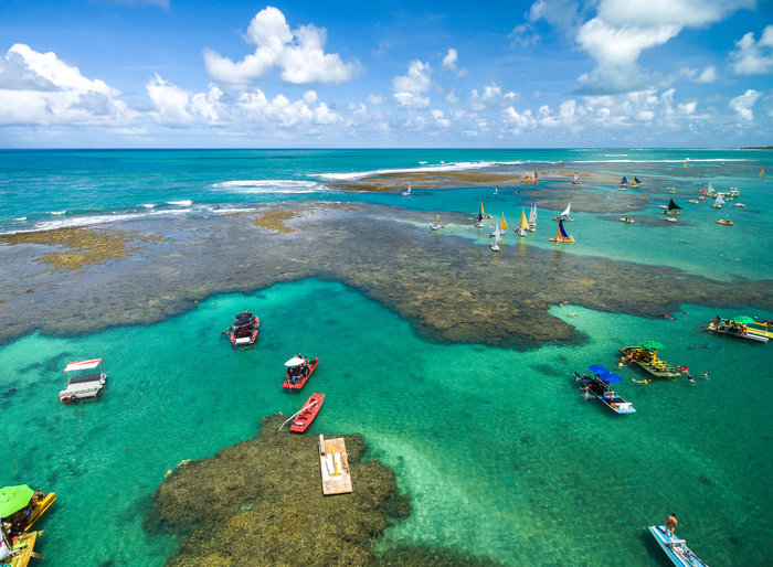 As piscinas naturais de Porto de Galinhas são as piscinas são um refúgio para inúmeras espécies de peixes