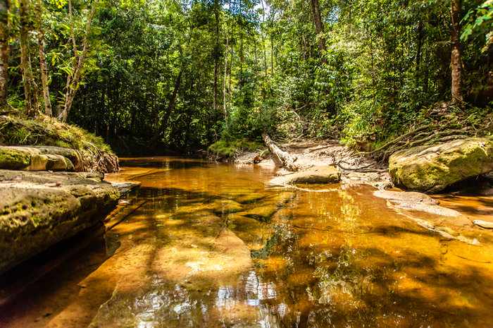 Dezenas de cachoeiras e belíssimas paisagens naturais compõem a paisagem de Presidente Figueiredo