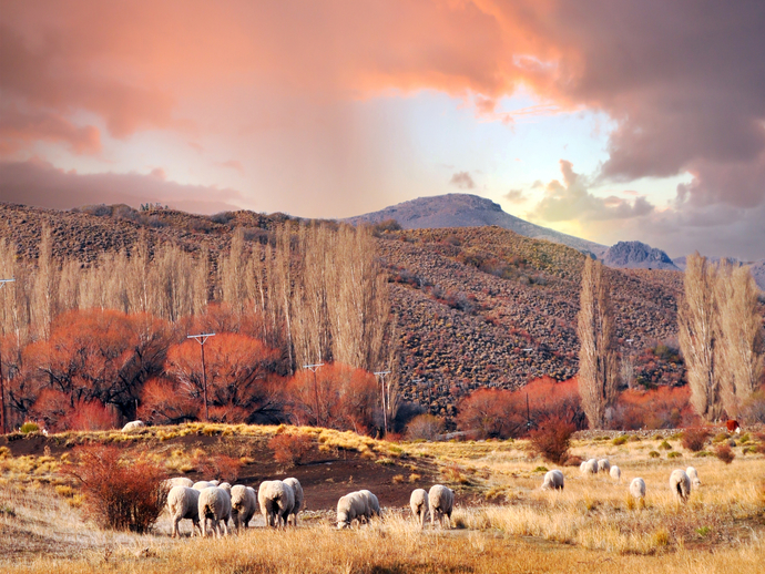 As paisagens naturais e selvagens de San Martín de los Andes são um convite para o descanso e contato com a natureza