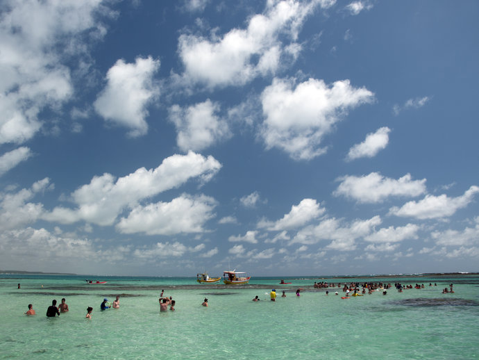 As lindas piscinas naturais de Maragogi são famosas internacionalmente