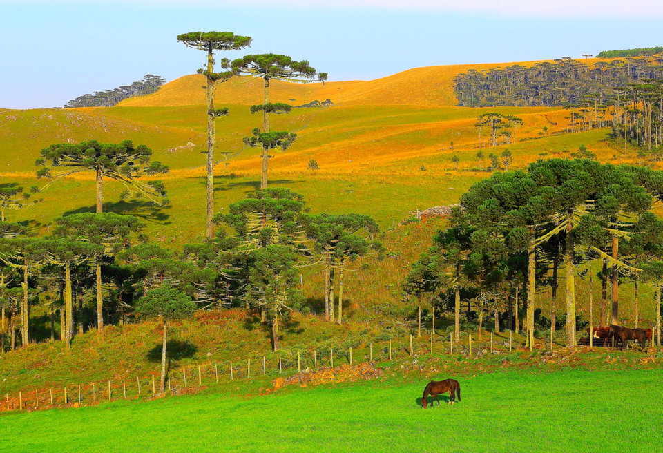 Canela é um dos mais destinos naturais mais bonitos e românticos do Brasil