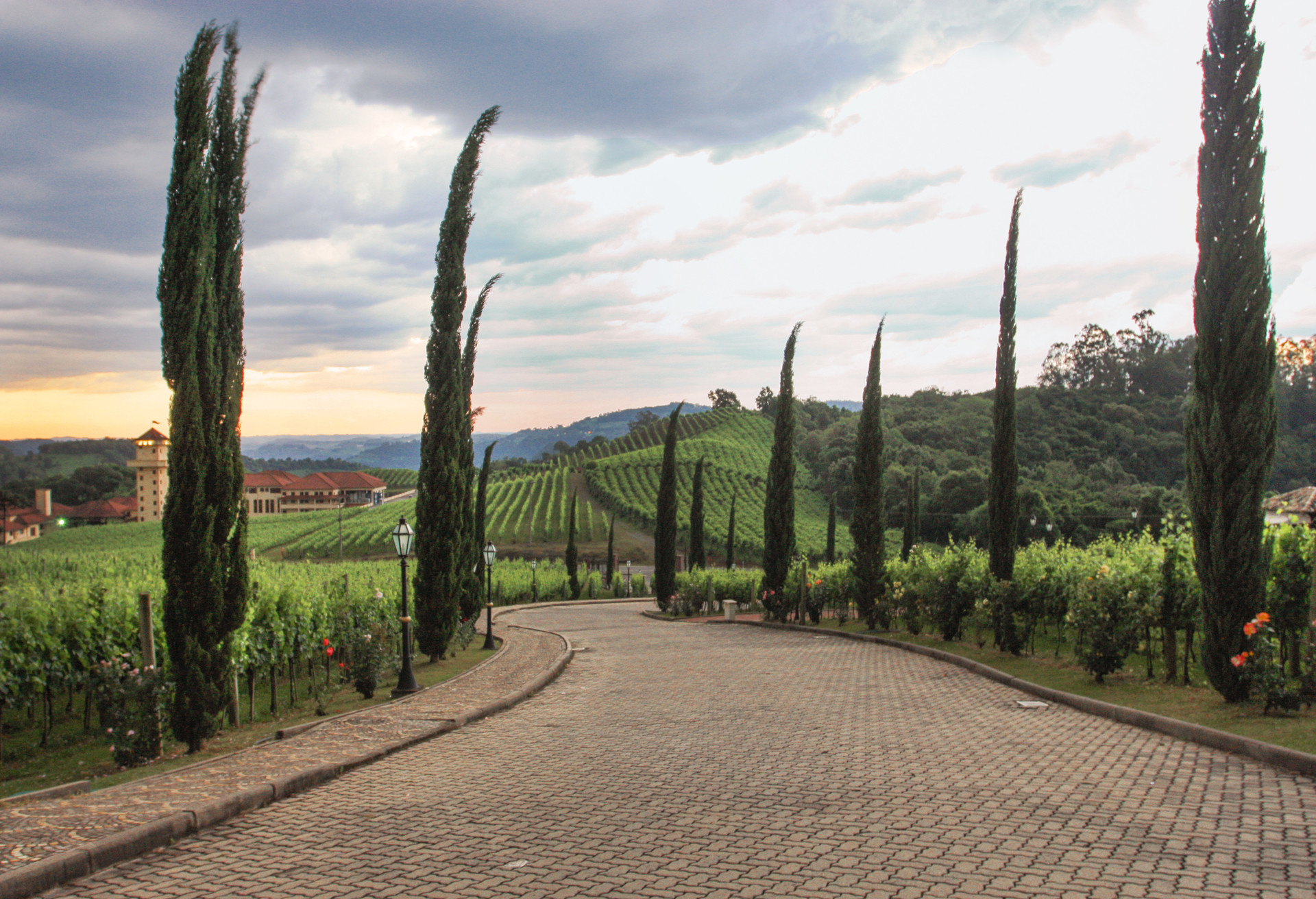 The Valley of the Vineyards in Bento Gonçalves. Typical landscape from Vale dos Vinhedos region, southern Brazil. Vineyard - Parreiral