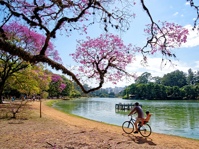 casal em uma bicicleta na beira de um lado