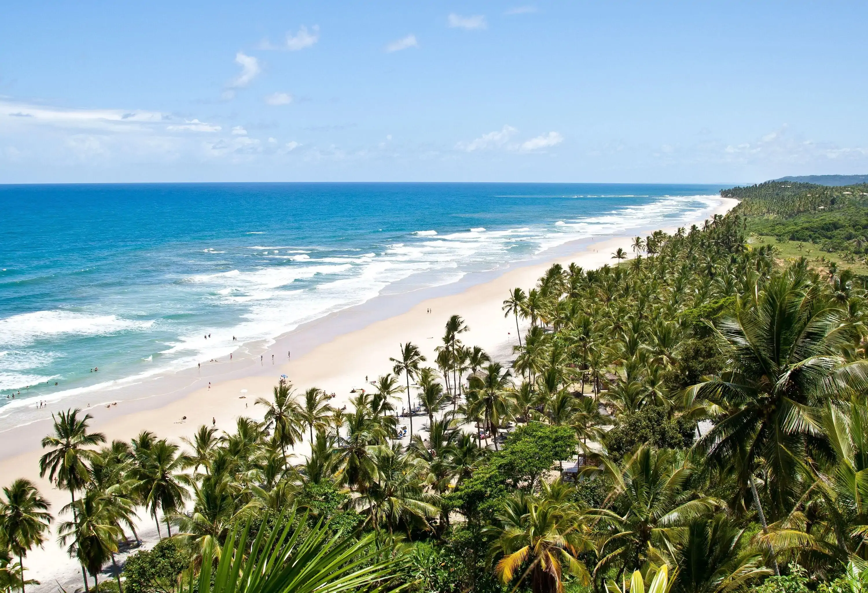 Some people swim on the beach with white waves crashing into the fine sands bordered by lush palm trees.