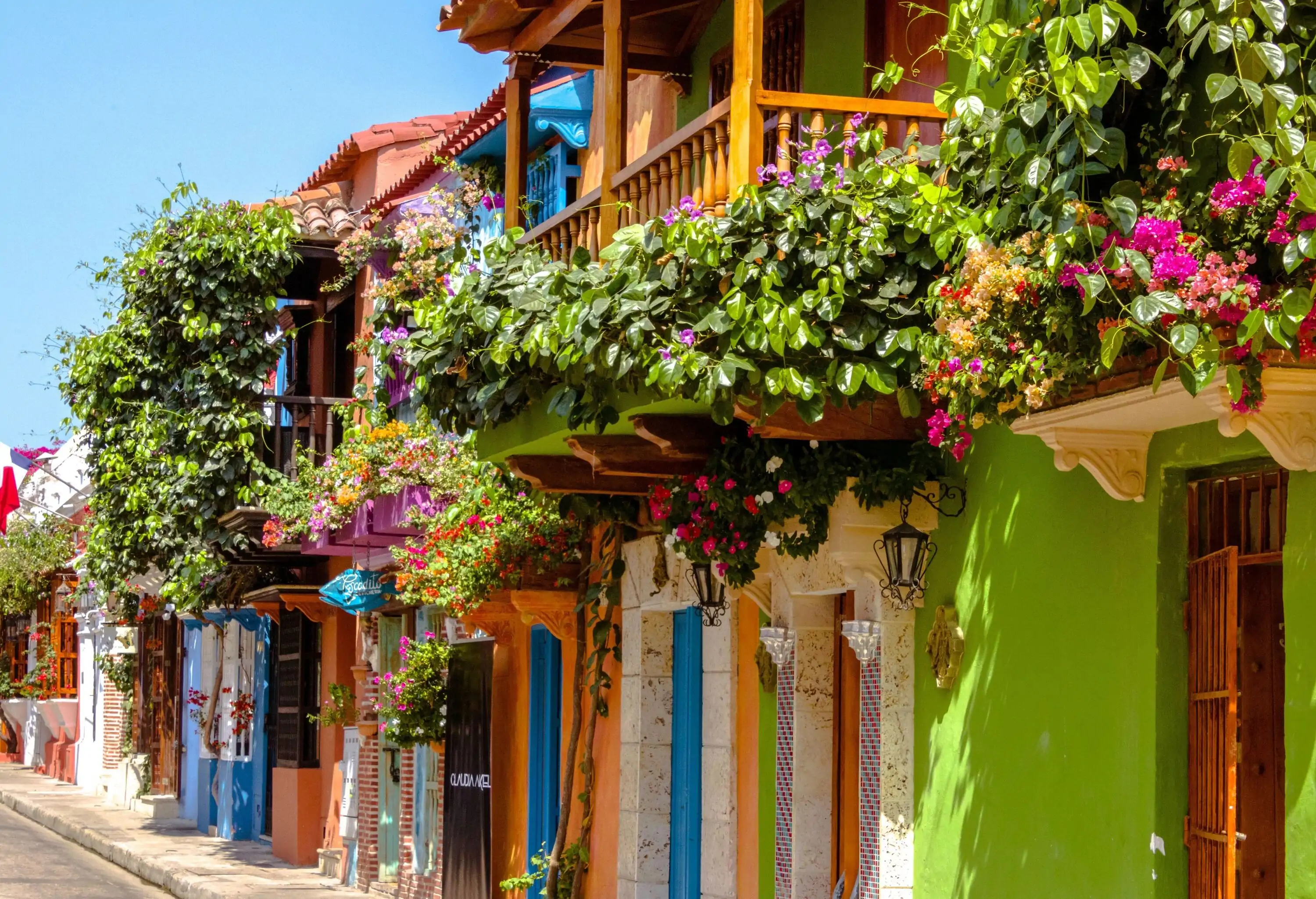 A row of colourful and classic townhouses adorned with flowering plants.