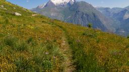 Diretório de hotéis: Les Deux-Alpes