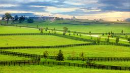 Pesquise passagens baratas para Kentucky