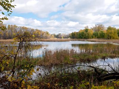 Eagan