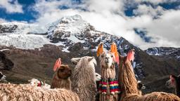 Diretório de hotéis: Cuzco