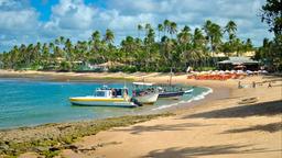 Hotéis em Praia do Forte