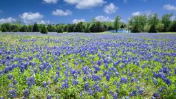 Hotéis em Texas
