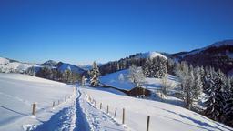 Hotéis em Bayrischzell