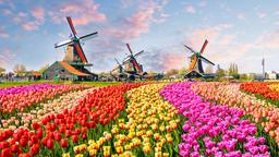 Hotéis em Holanda do Norte