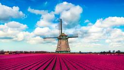 Hotéis em Holanda