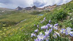 Pesquise passagens baratas para Colorado