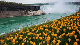 Diretório de hotéis: Niagara Falls