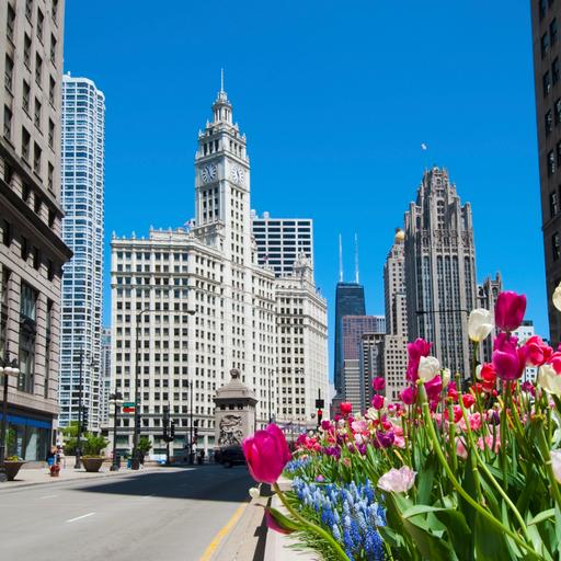 Chicago