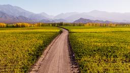Pesquise passagens baratas para Mendoza