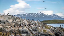 Pesquise passagens baratas para Ushuaia