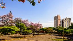 Hotéis perto de Aeroporto de Londrina