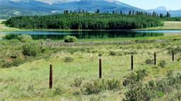 Pesquise passagens baratas para Colorado