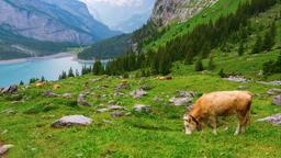 Hotéis em Kandersteg