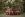 preload