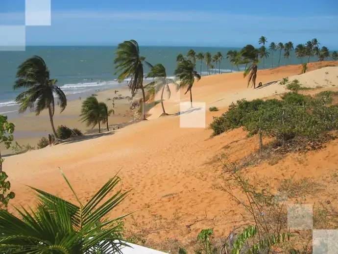 Várias praias de Fortaleza costumam sediar animadas programações de Carnaval