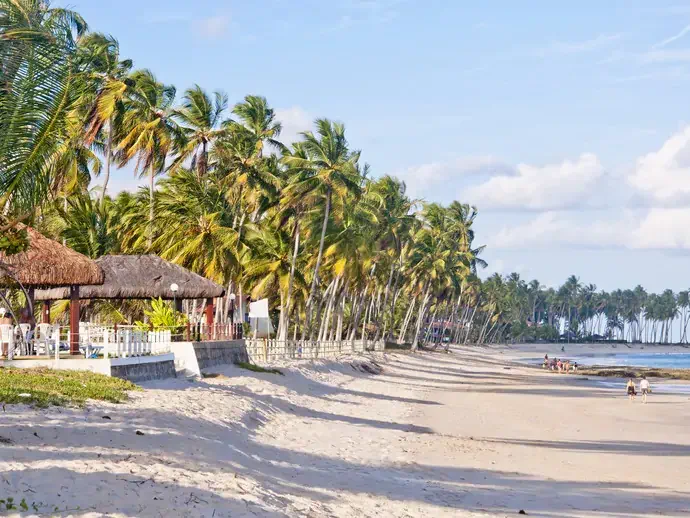 A festança na Praia de Carneiros acontecerá no Mouton Beach Club, com direito a belas paisagens naturais
