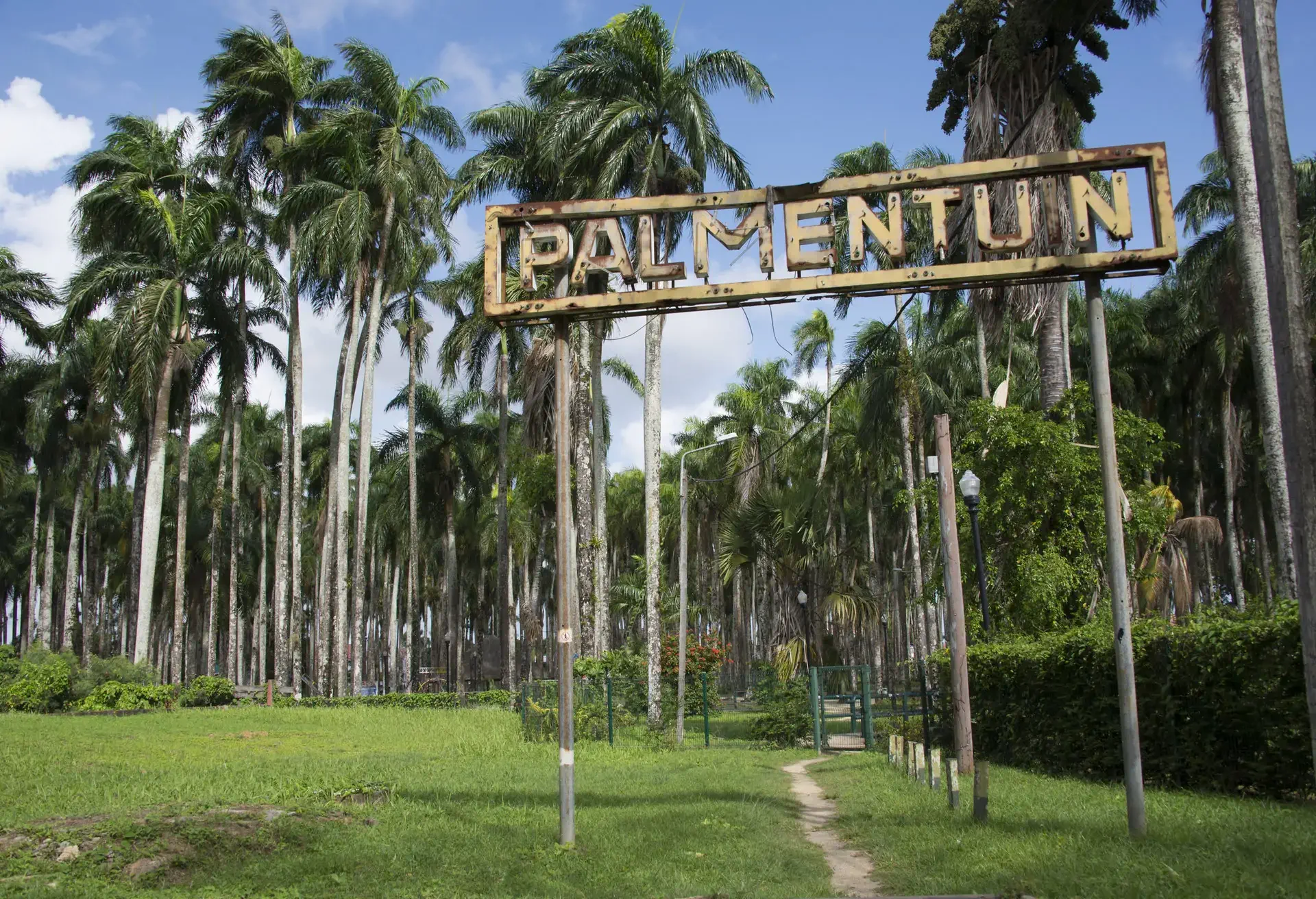 O Palmentuin, ou Jardim das Palmeiras, é um dos principais atrativos turísticos d Paramaribo