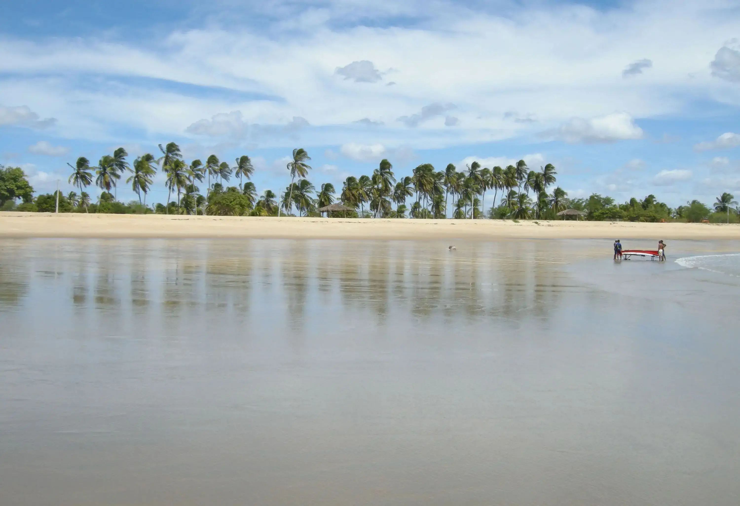 A group of men carrying a boat in a beach along a grove of palm trees.