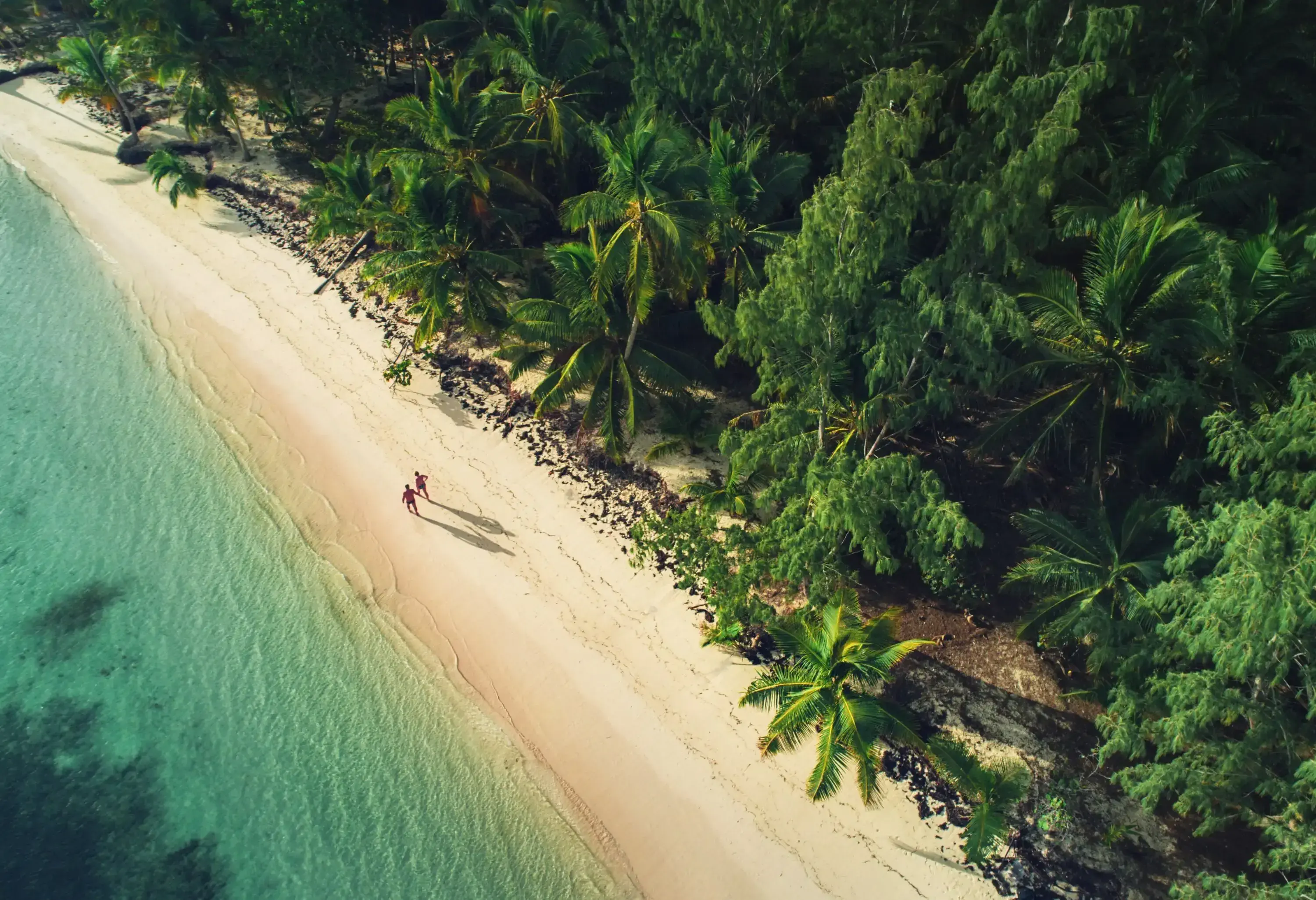 An aerial view of a couple walking on the sandy beach along the forest.
