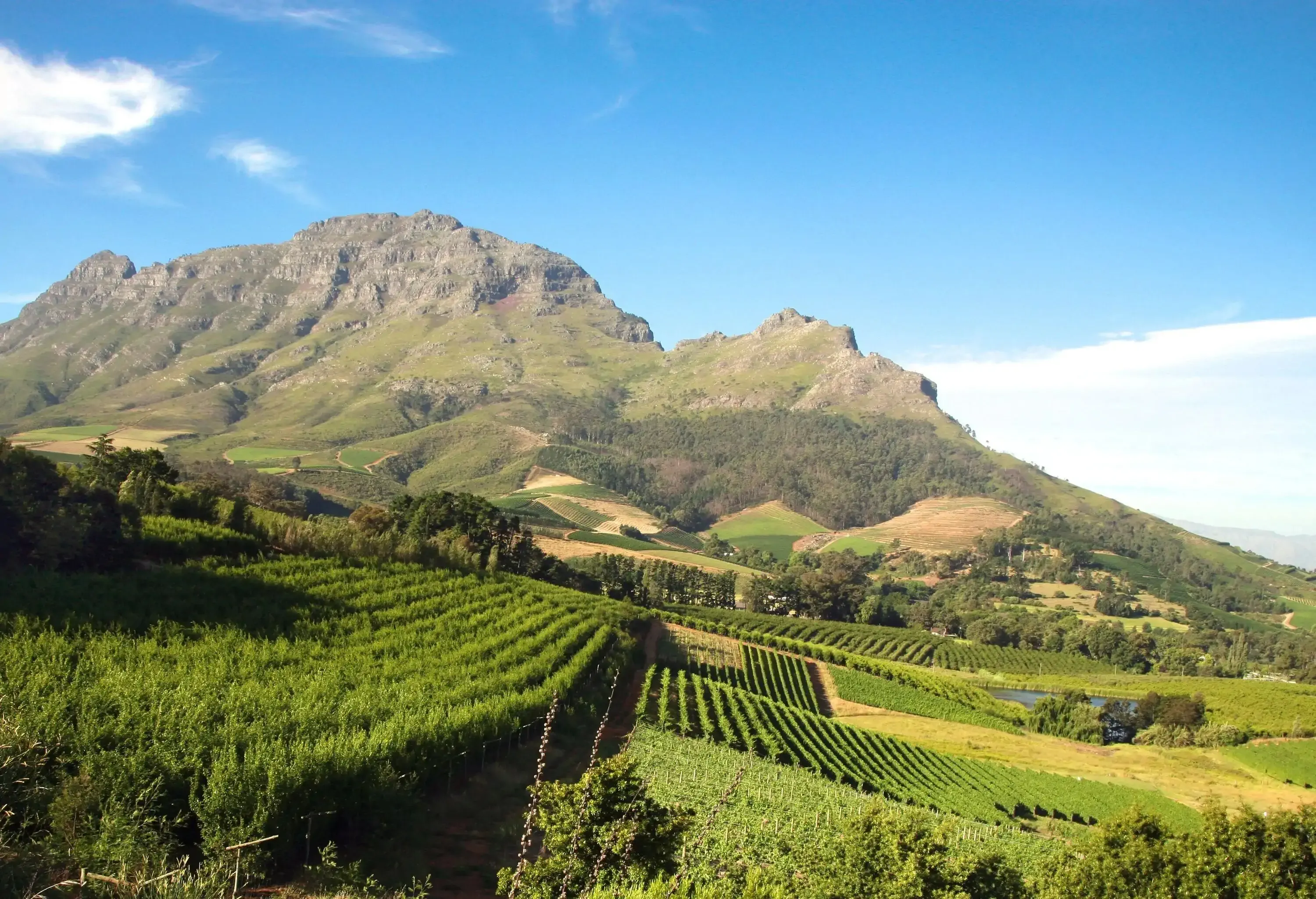 A hillside farm field with rocky mountains against the sky in the background.