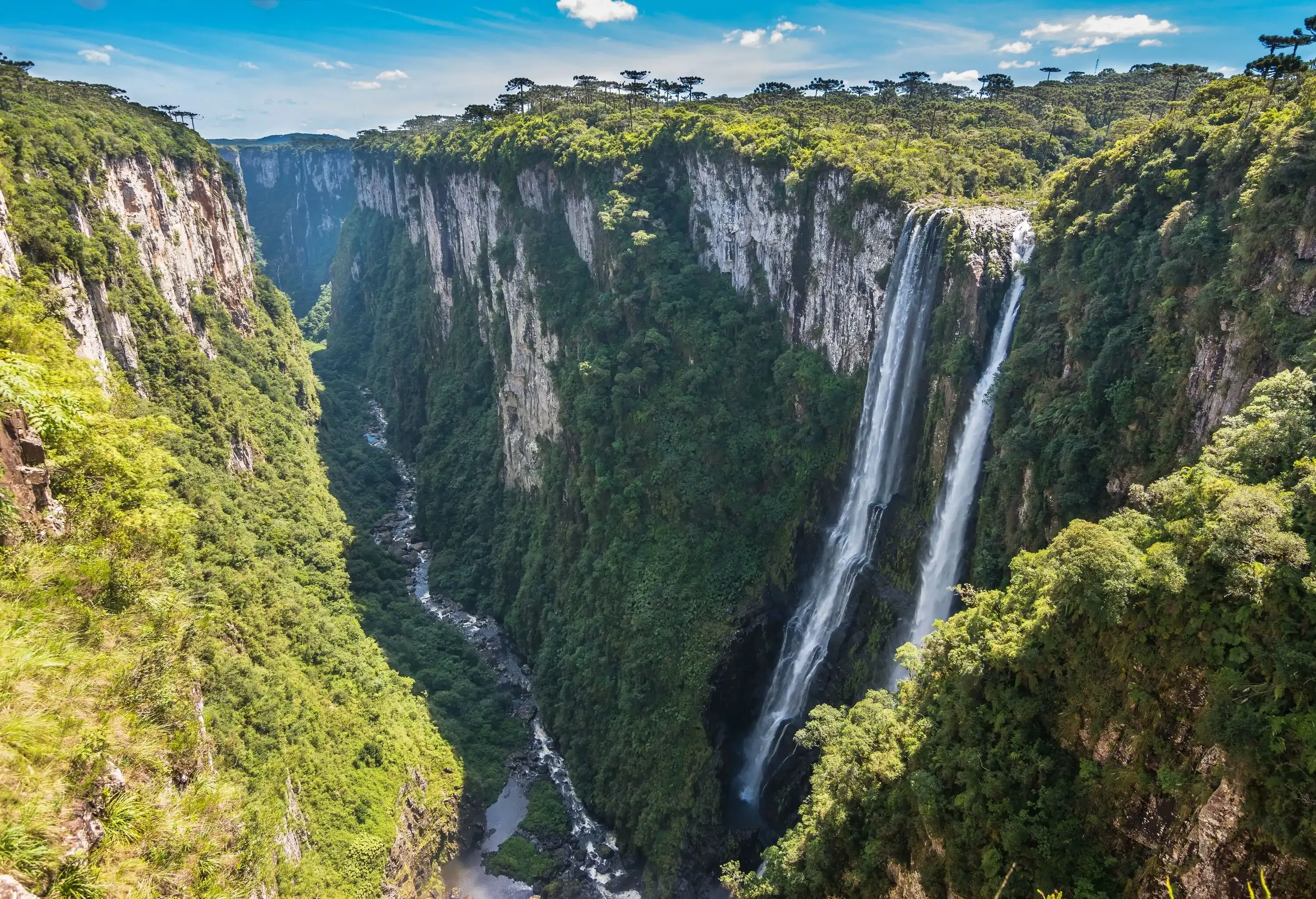 Waterfall that cascades from a tall cliff down to a narrow river lined with dense vegetation.