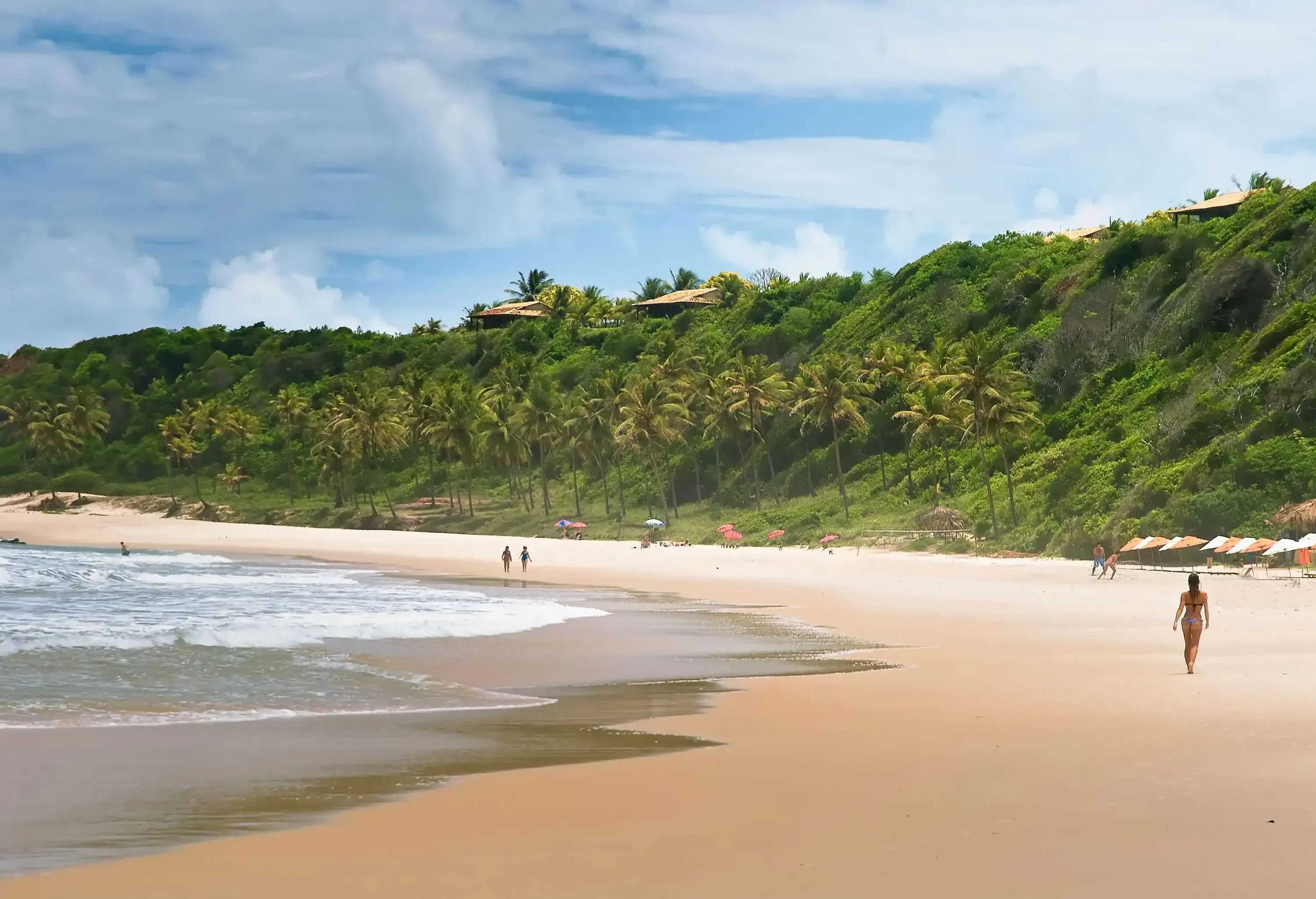 tropical beach with people in the background