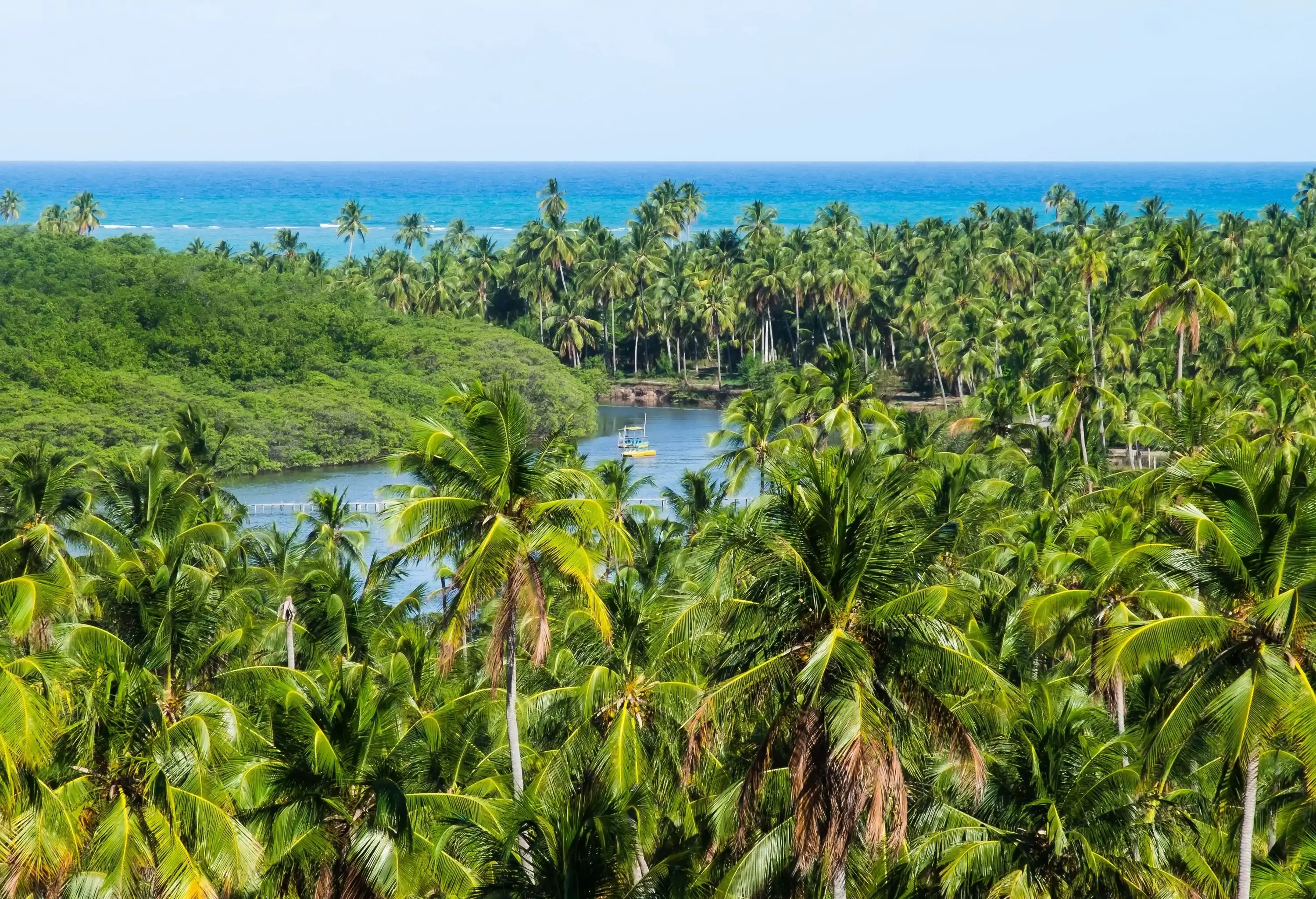 A serene river winding its way through lush and verdant tropical vegetation, with majestic trees framing its banks.