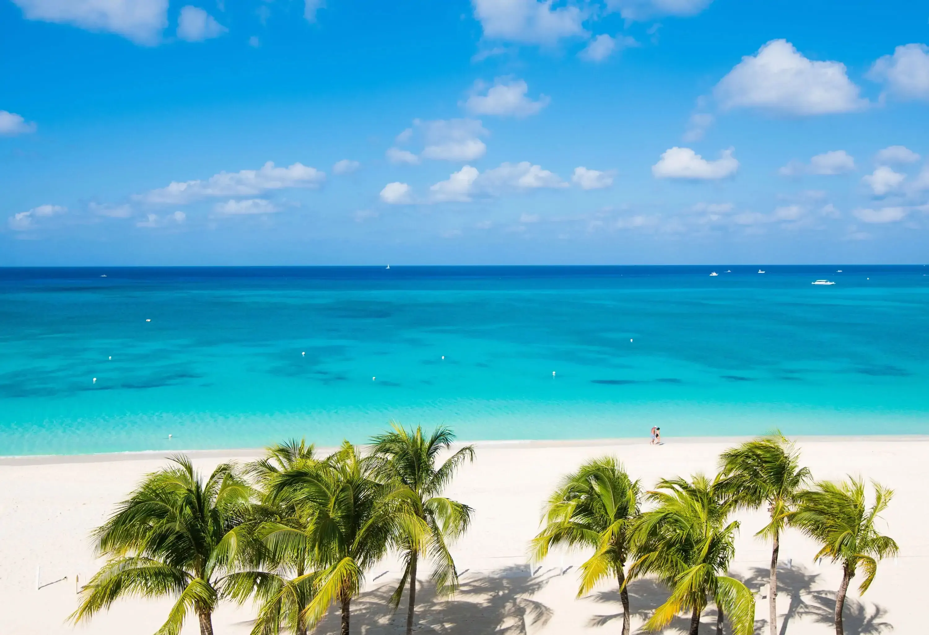 Seven Mile Beach with Palm Tree and Caribbean turquoise water